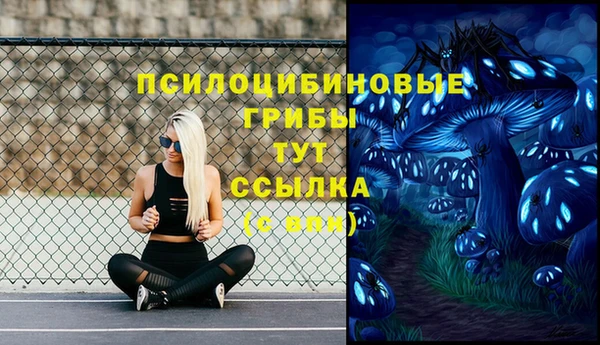 мефедрон Заводоуковск