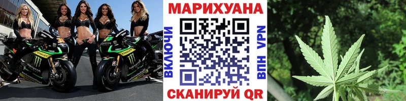 Конопля сатива Катав-Ивановск